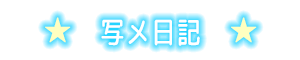 写メ日記